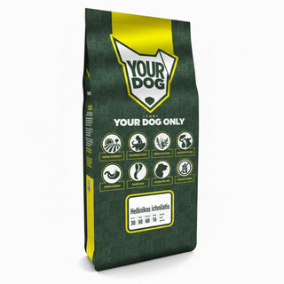 Yourdog Hellinikos Ichnilatis Volwassen