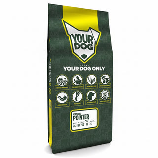 Yourdog Portugese Pointer Senior
