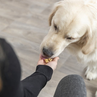 Trixie Bakmat Met Botjes Voor Hond Silicone