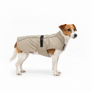 Dog wearing a beige coat on a white background