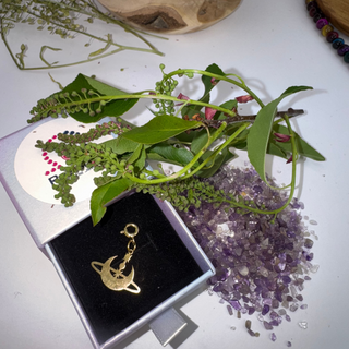 Jules’ Inner Orbit Charm™ in a box with green leaves and purple stones on a white surface with wood in the background