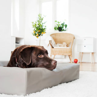 Katoenen hoes voor Bia Bed hondenmand - Grijs (5 maten)